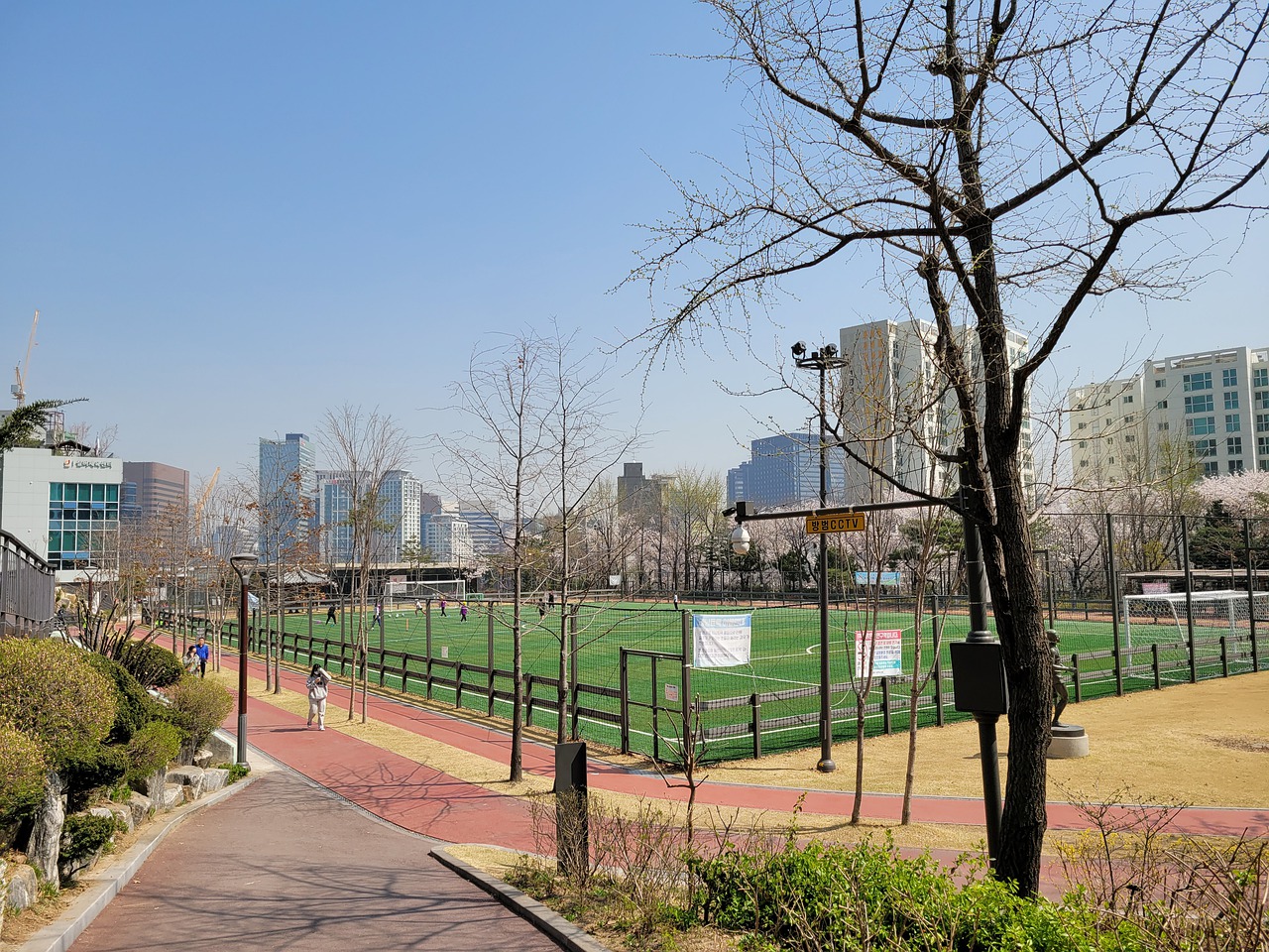 国际社会普