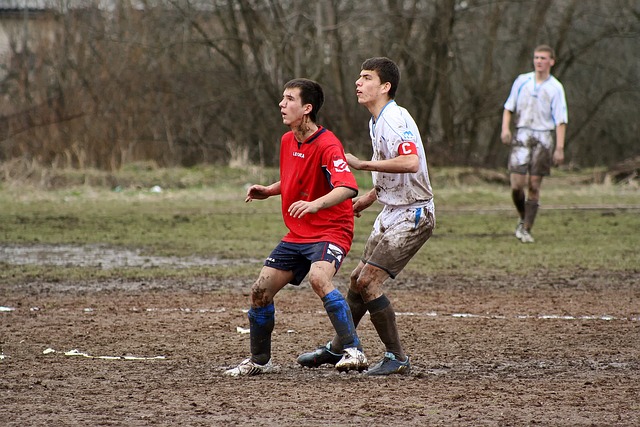 心灵的平衡 心灵的平衡