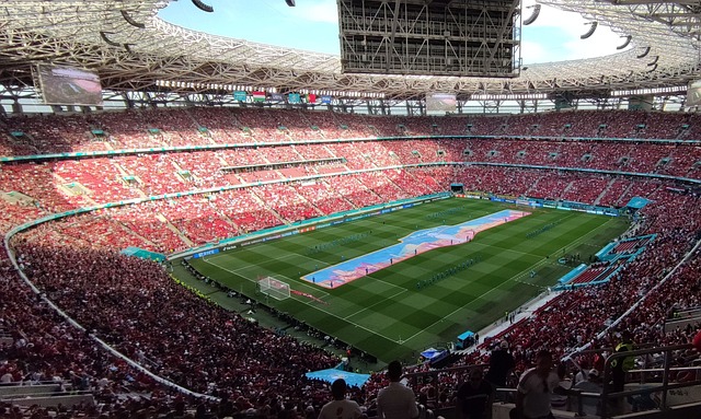 圣日耳曼效 圣日耳曼效