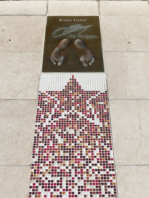 安将迎来又